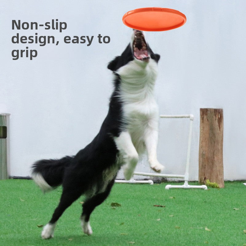 Dog Frisbee