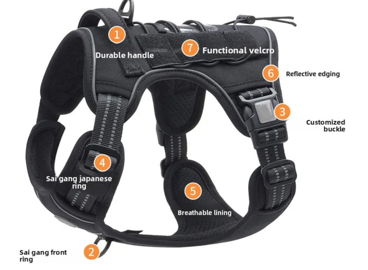 Heavy-Duty Quick-Release Dog Harness + Leash Set