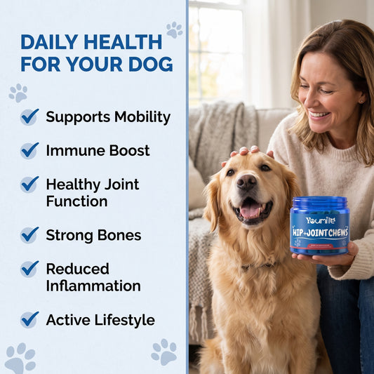 Hip Joint Supplement for Dogs