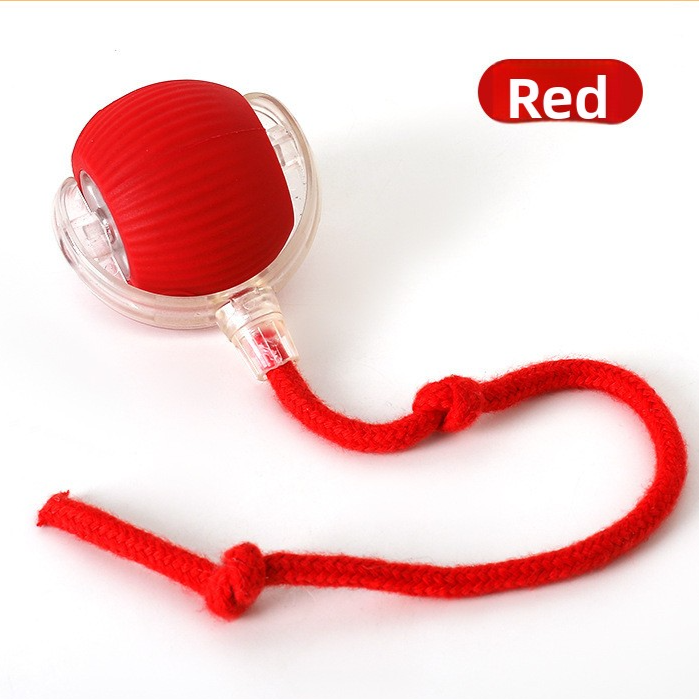 Interactive Cat Toy