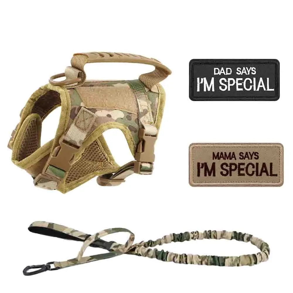 Tactical Dog Harness Set for Small Dogs and Cats - Includes Vest, Leash, and 2 Patches for Outdoor Activities