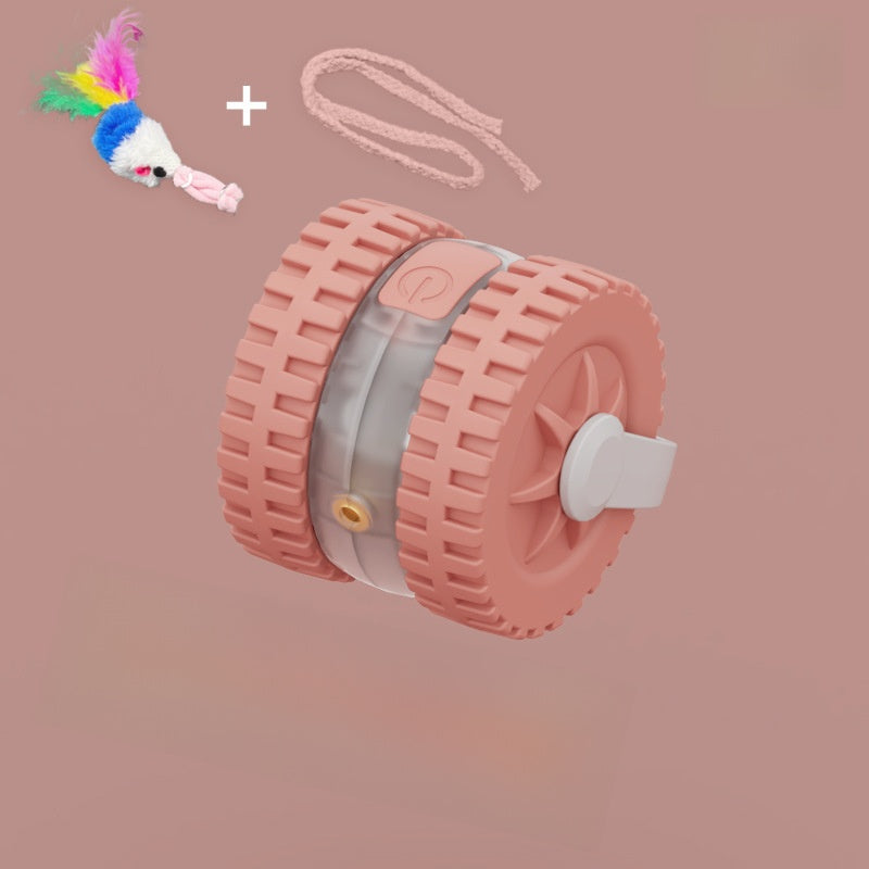 Laser Chasing Cat Toy