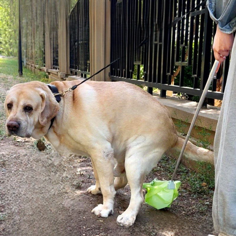 Dog Toilet Collector