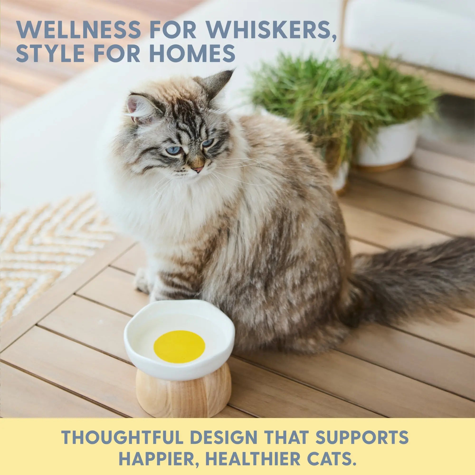 Elevated Cat Bowl with Egg Design