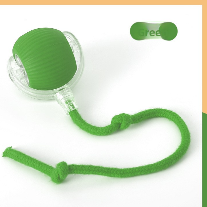 Interactive Cat Toy