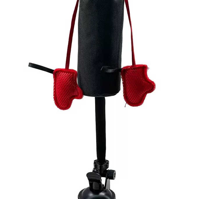 Cat Boxing Toy