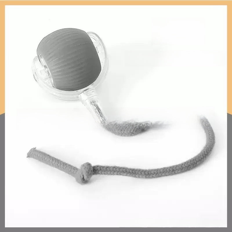 Interactive Cat Toy