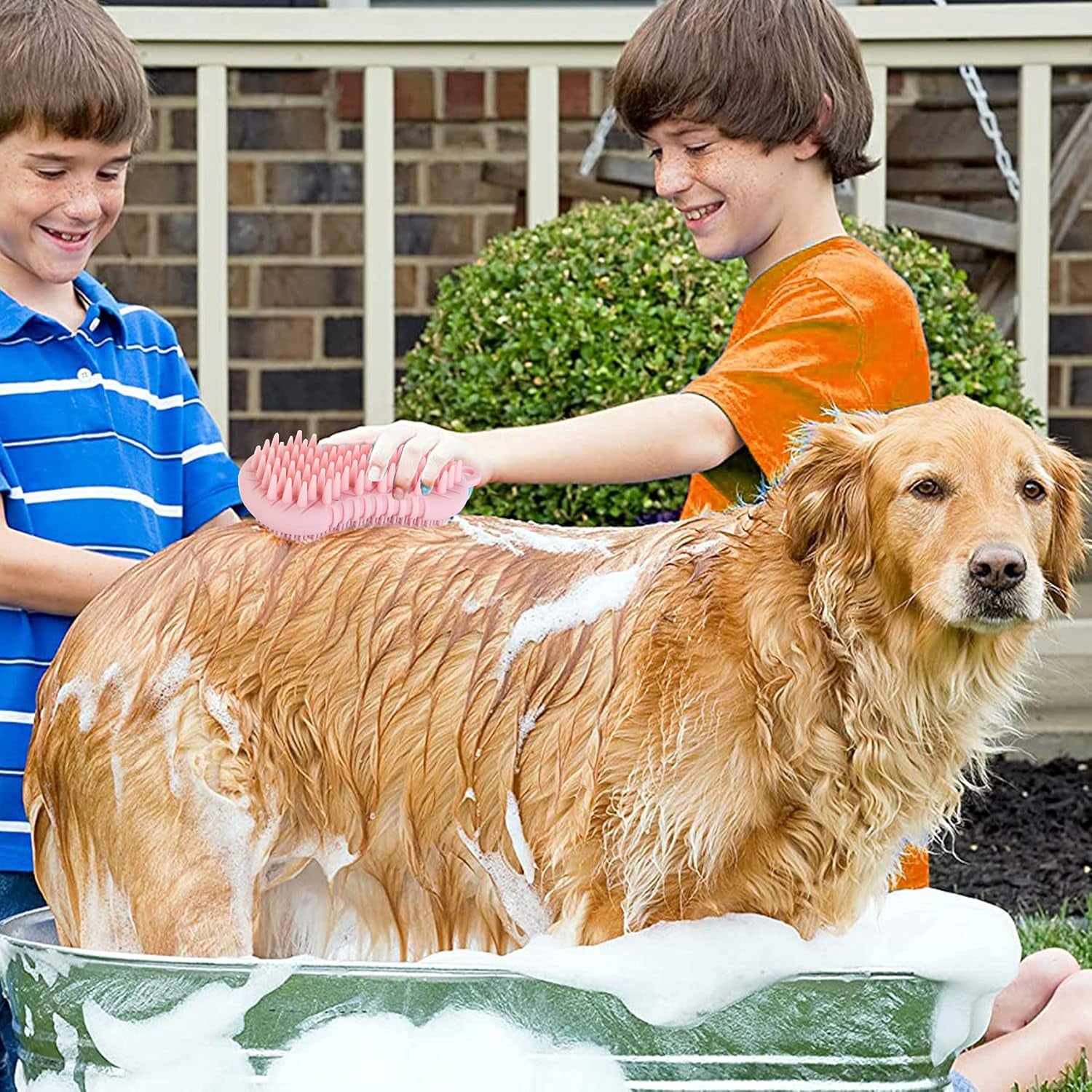 Pet Grooming Shampoo & Massage Brush for Cats & Dogs