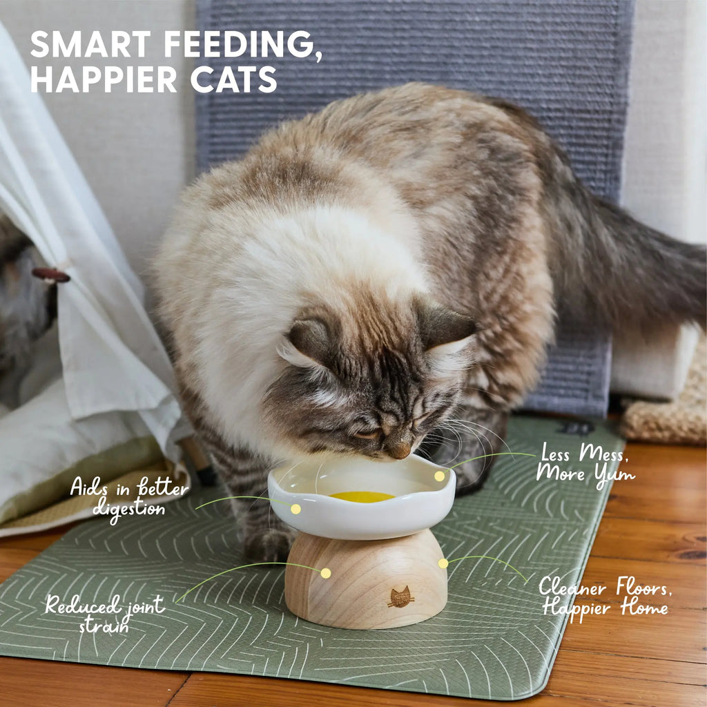 Elevated Cat Bowl with Egg Design