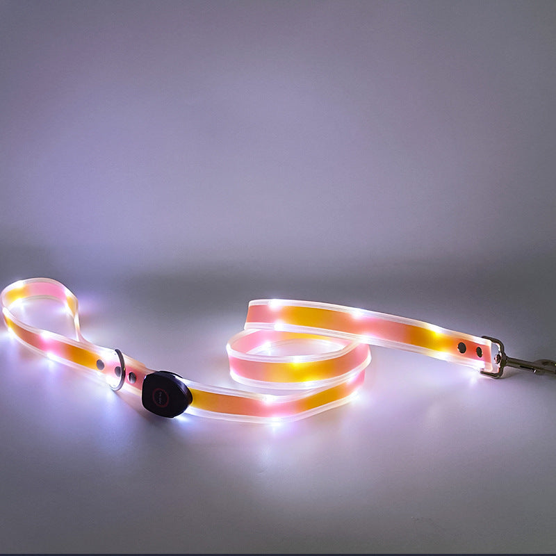 LED Dog collar & leash