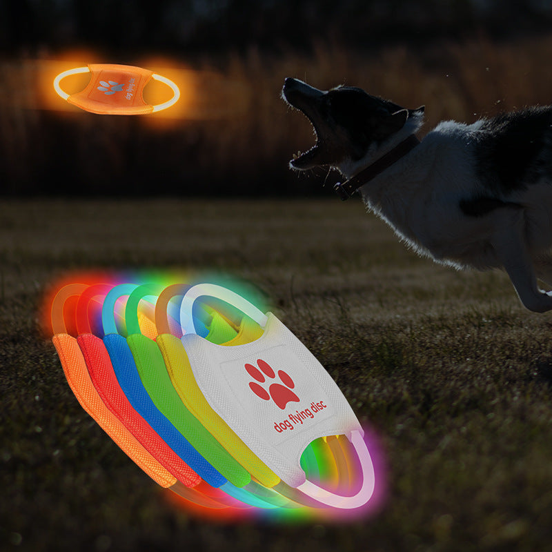 LED Dog Frisbee