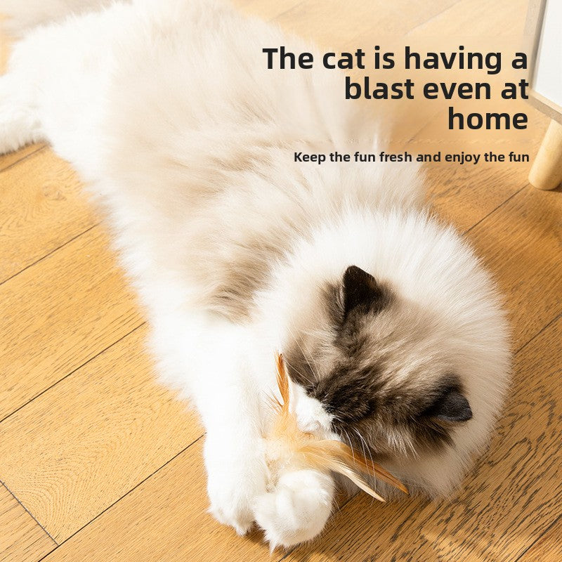 Cat Feather Toy