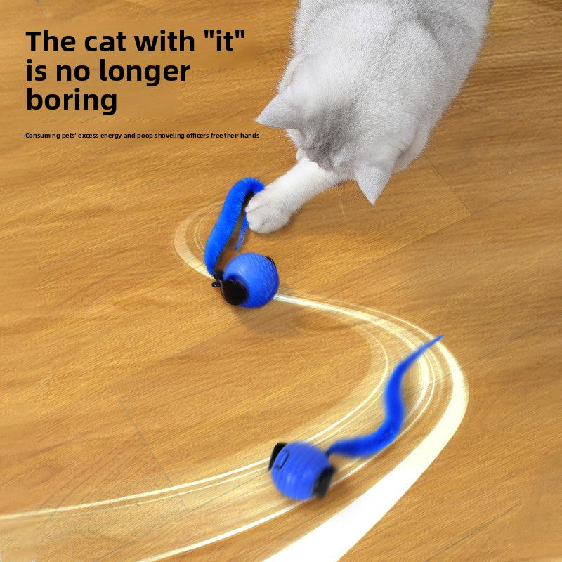 Automatic Cat Toy
