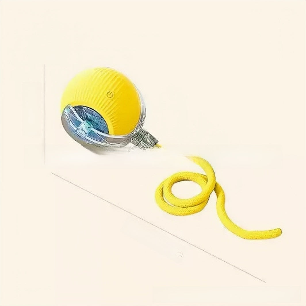 Interactive Cat Toy