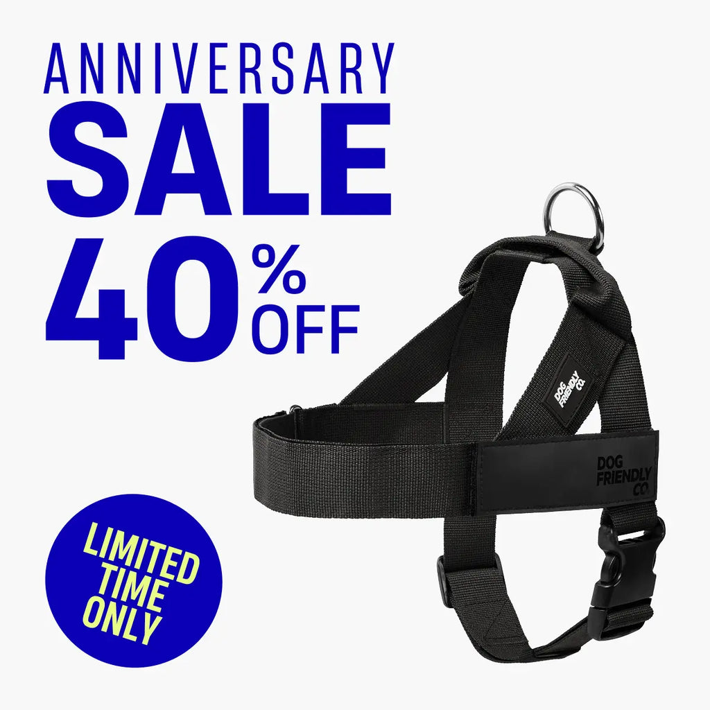 Dog Friendly Co. Harness - Easy to Fit No-Pull Design - Safe Secure and Comfortable - Ideal for All Dogs - Chafe-Resistant Lightweight Straps - Adjustable Straps for Perfect Fit