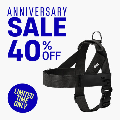 Dog Friendly Co. Harness - Easy to Fit No-Pull Design - Safe Secure and Comfortable - Ideal for All Dogs - Chafe-Resistant Lightweight Straps - Adjustable Straps for Perfect Fit