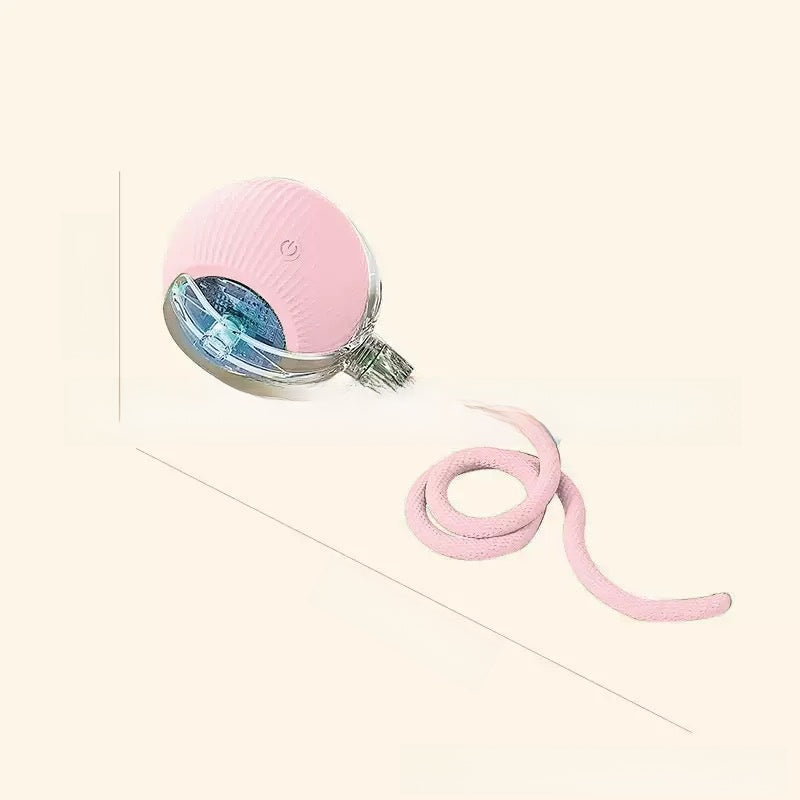 Interactive Cat Toy