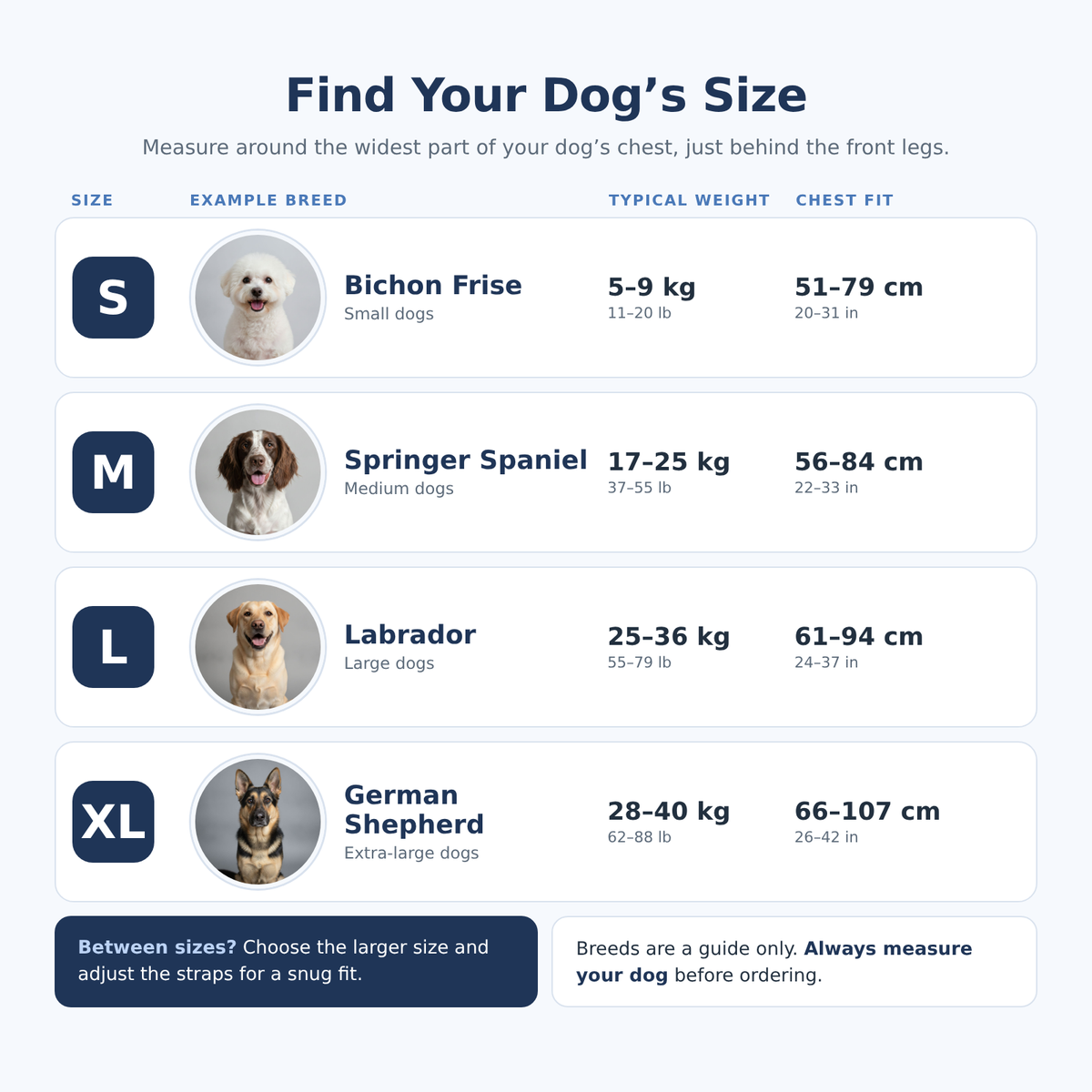 Heavy-Duty Quick-Release Dog Harness + Leash Set