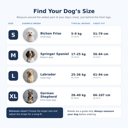 Heavy-Duty Quick-Release Dog Harness + Leash Set