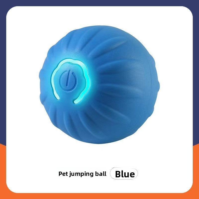Interactive Cat Toy