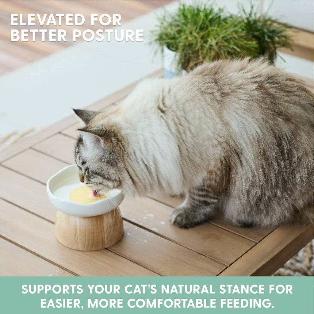 Elevated Cat Bowl with Egg Design