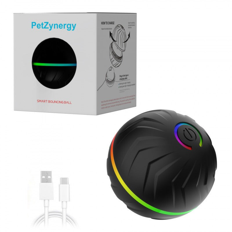 Bouncing Ball Dog Toy