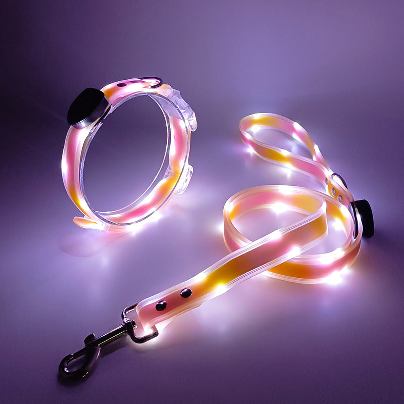LED Dog collar & leash