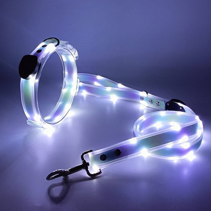 LED Dog collar & leash