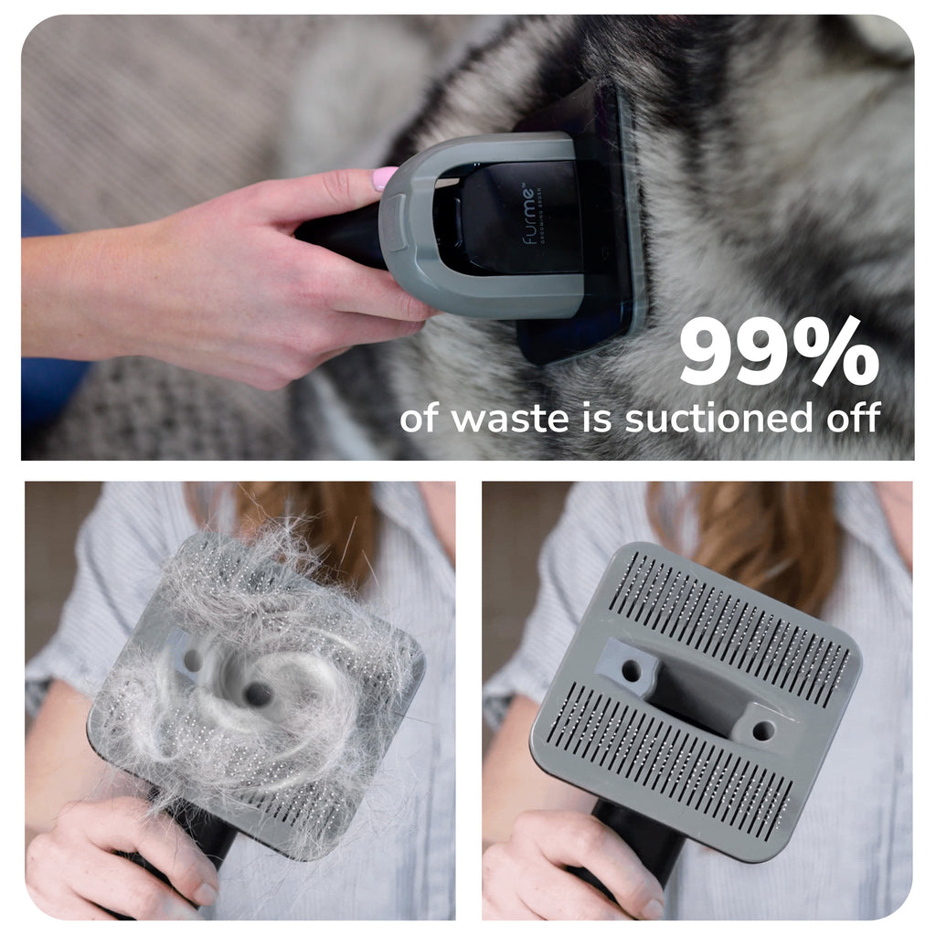 Furme Quiet Pet Grooming Vacuum Kit, 5 Pet Grooming Tools for Cats & Dogs
