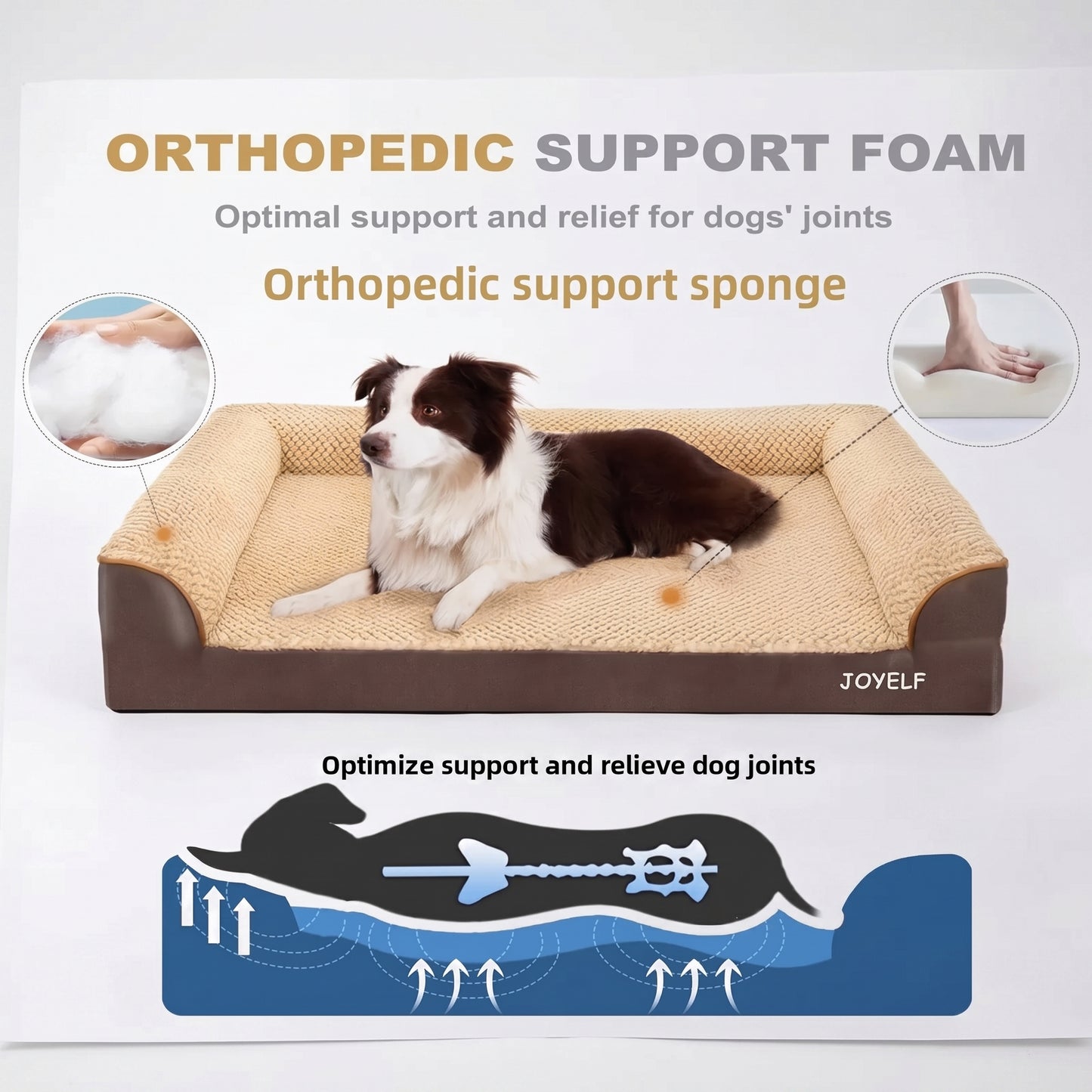 Orthopedic Dog Bed