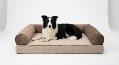 Orthopedic Dog Bed