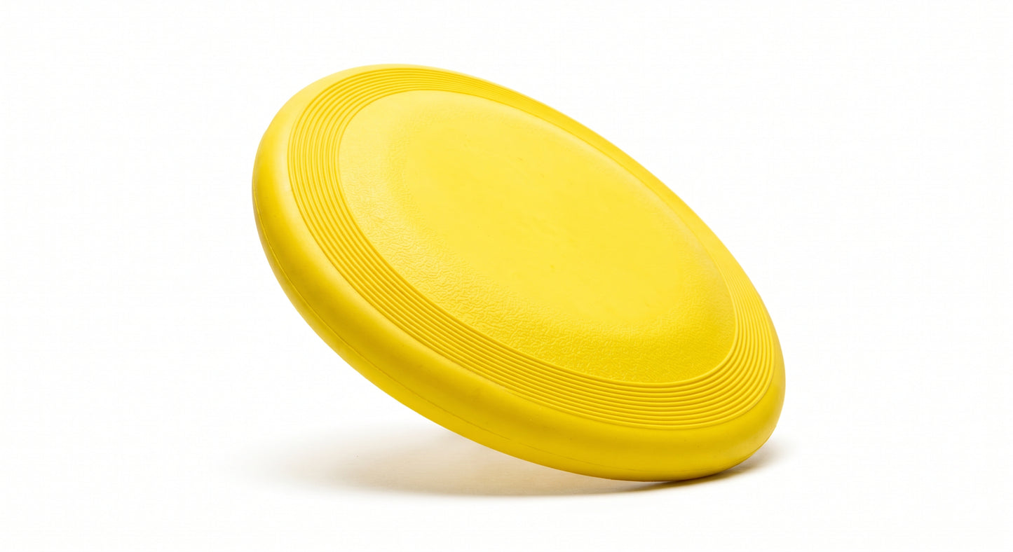 Dog Frisbee