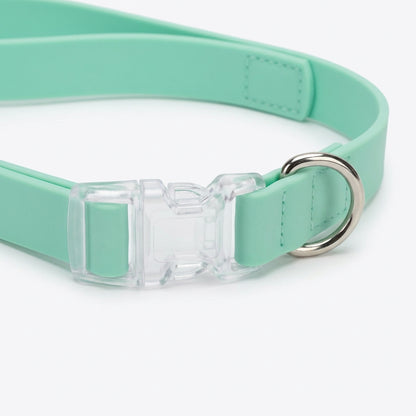 Laisse pour chien mains libres et imperméable
