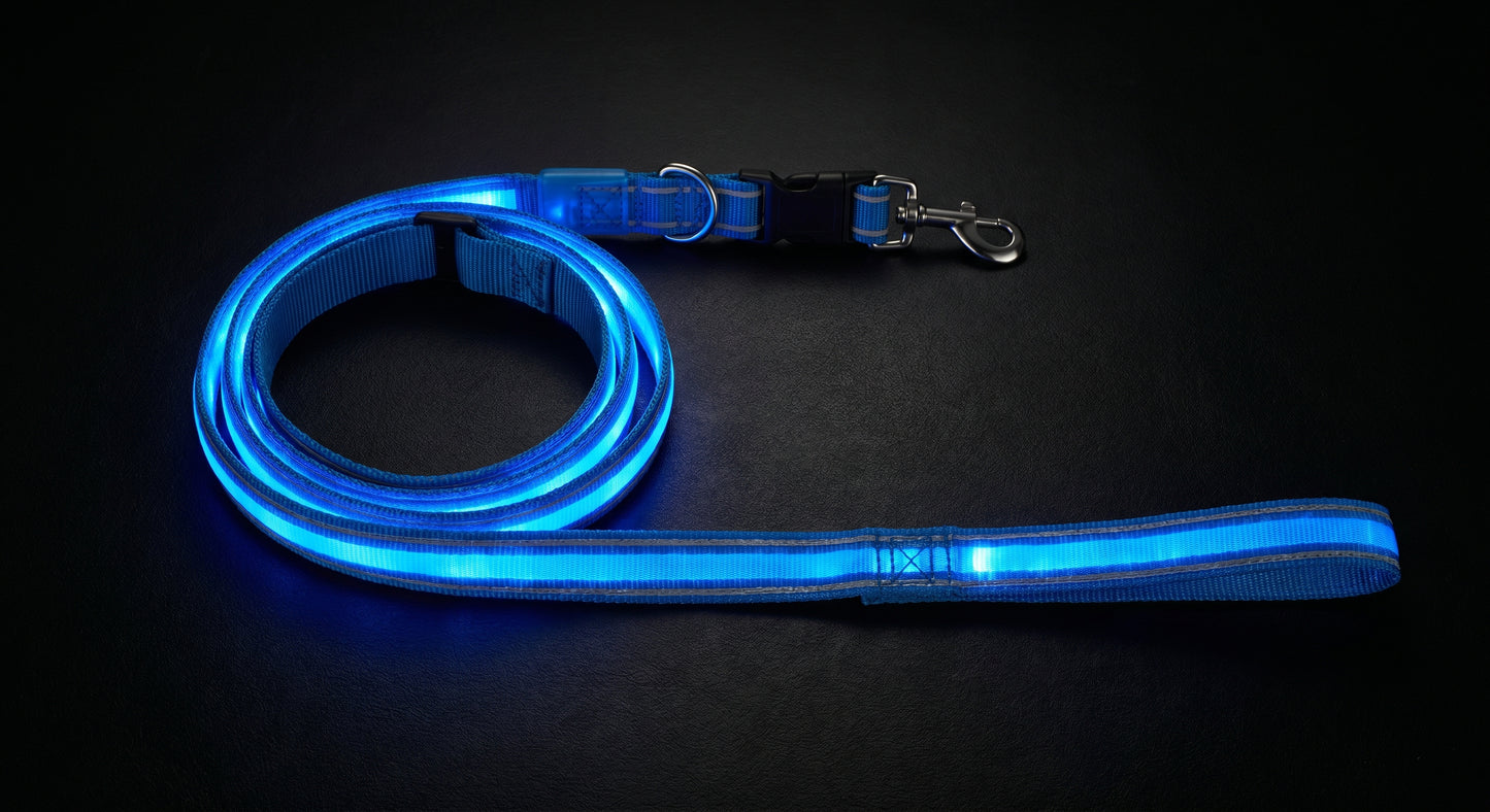 LED Dog collar & leash