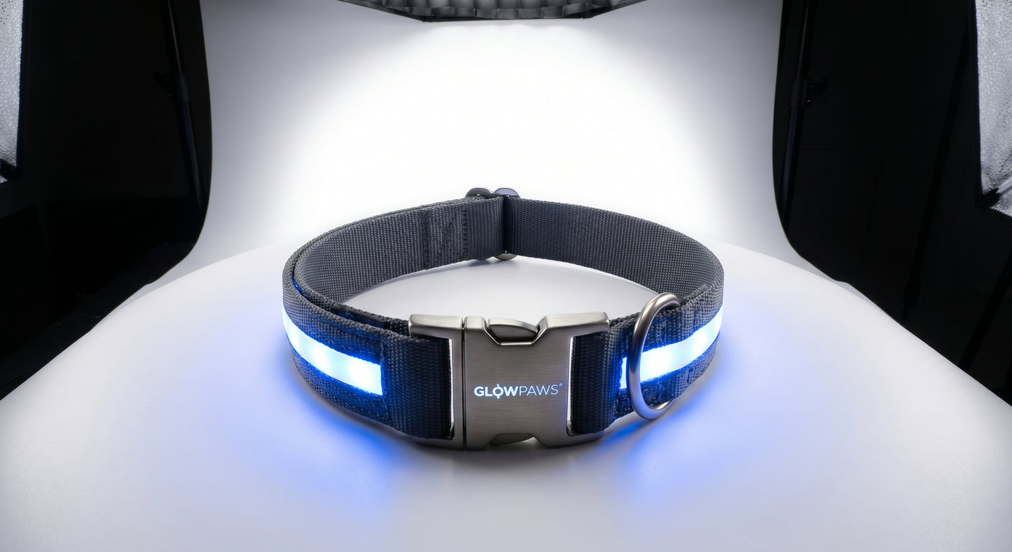 LED Dog collar & leash